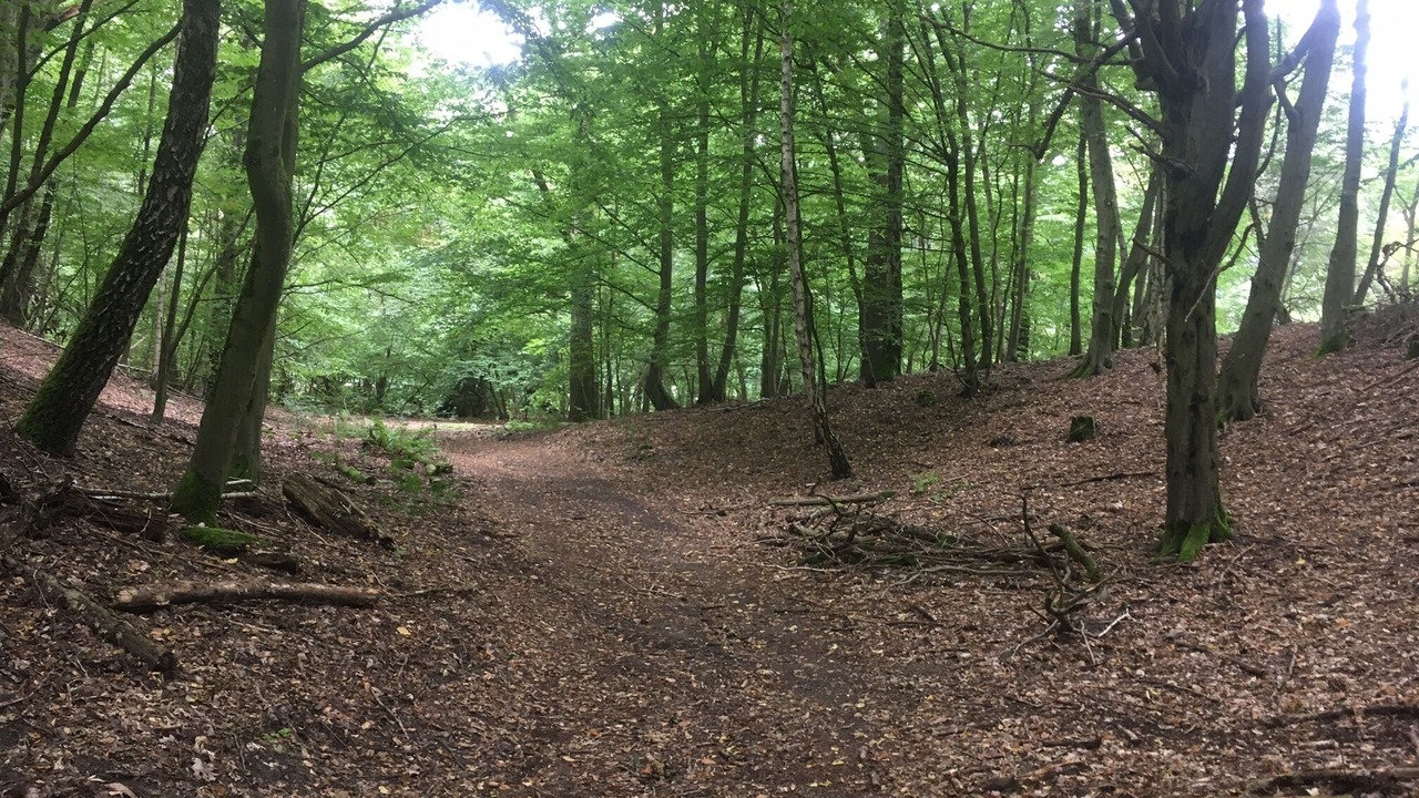 Photo of Outdoor in Leuenberg
