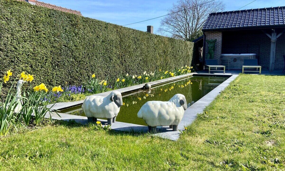 Photo of Outdoor in Wingene