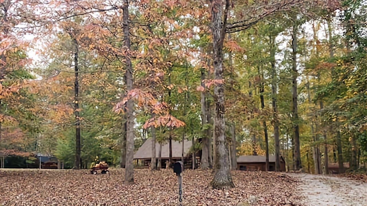 Photo of Outdoor in Fairview