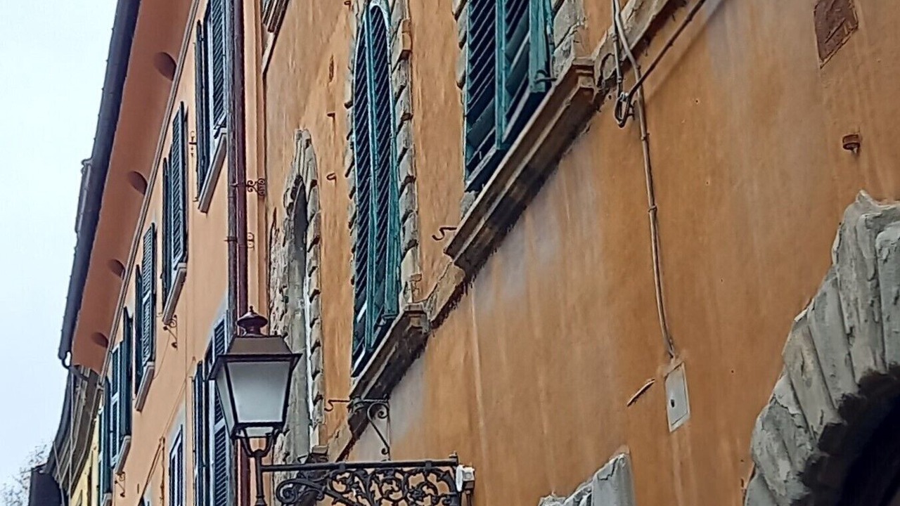 Photo of Outdoor in Pisa City Centre