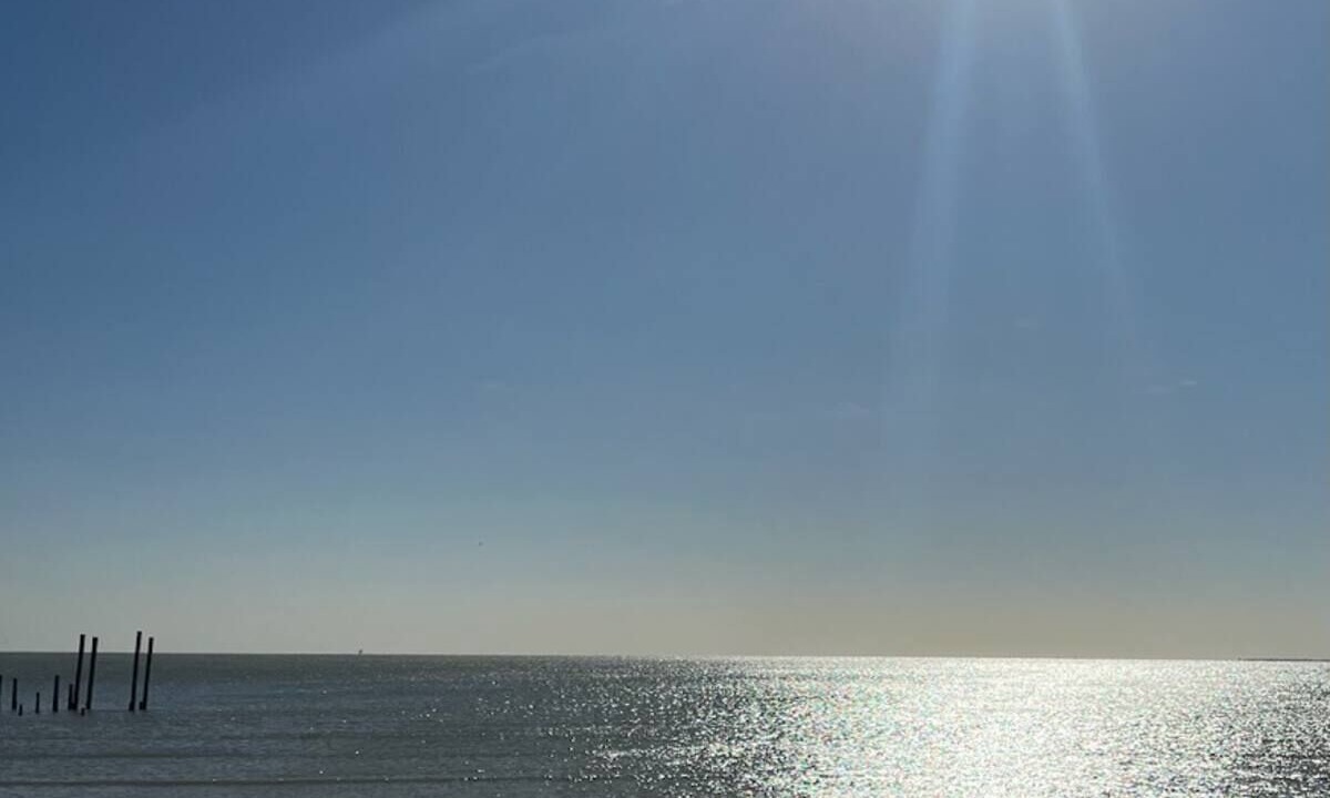 Photo of Others in El Lago