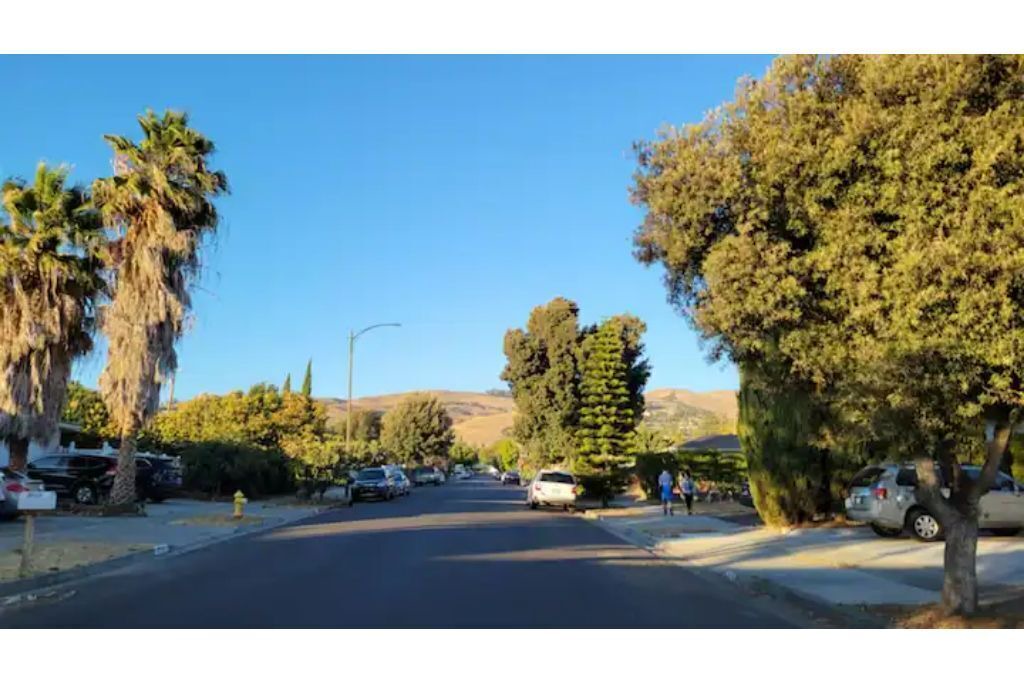 Photo of Others in Berryessa
