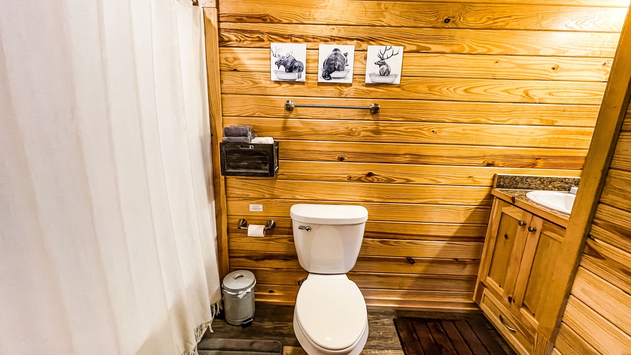 Photo of Bathroom in Bismarck