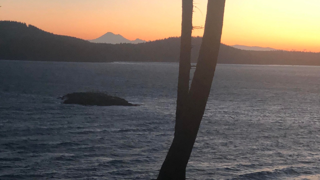 Photo of Others in Lopez Island