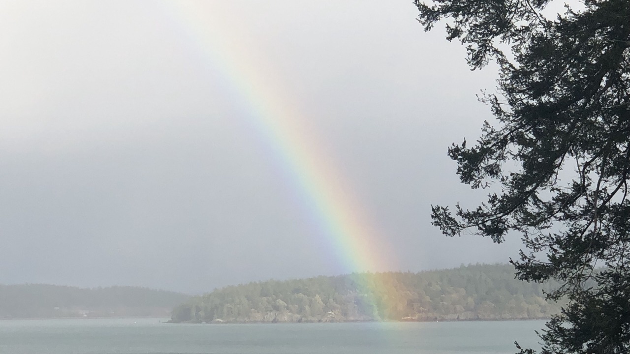 Photo of Others in Lopez Island