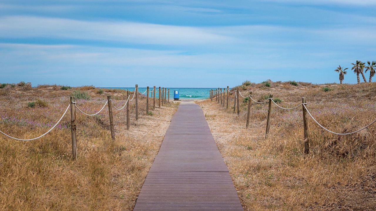 Photo of Others in Canet de Berenguer
