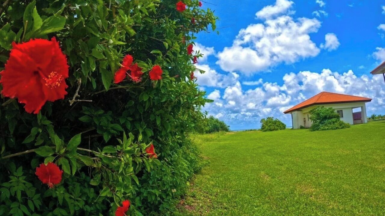 Photo of Outdoor in Iriomote-jima Taketomi-cho