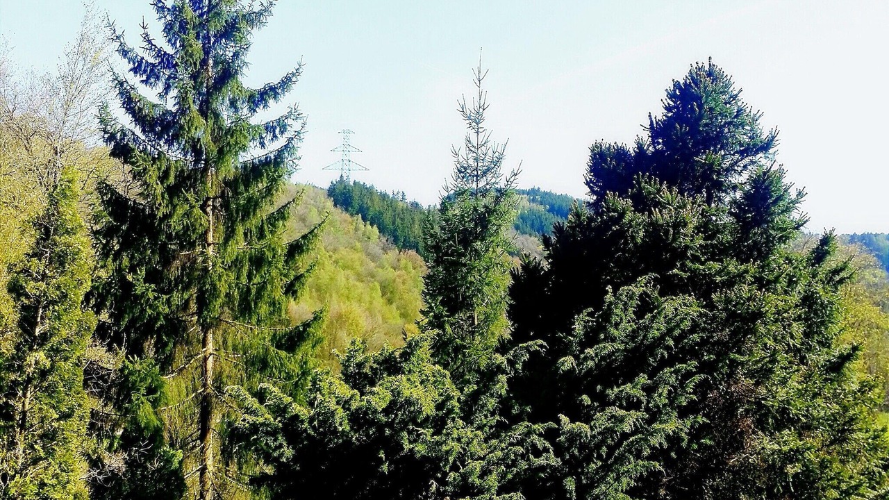 Photo of Others in Nisramont