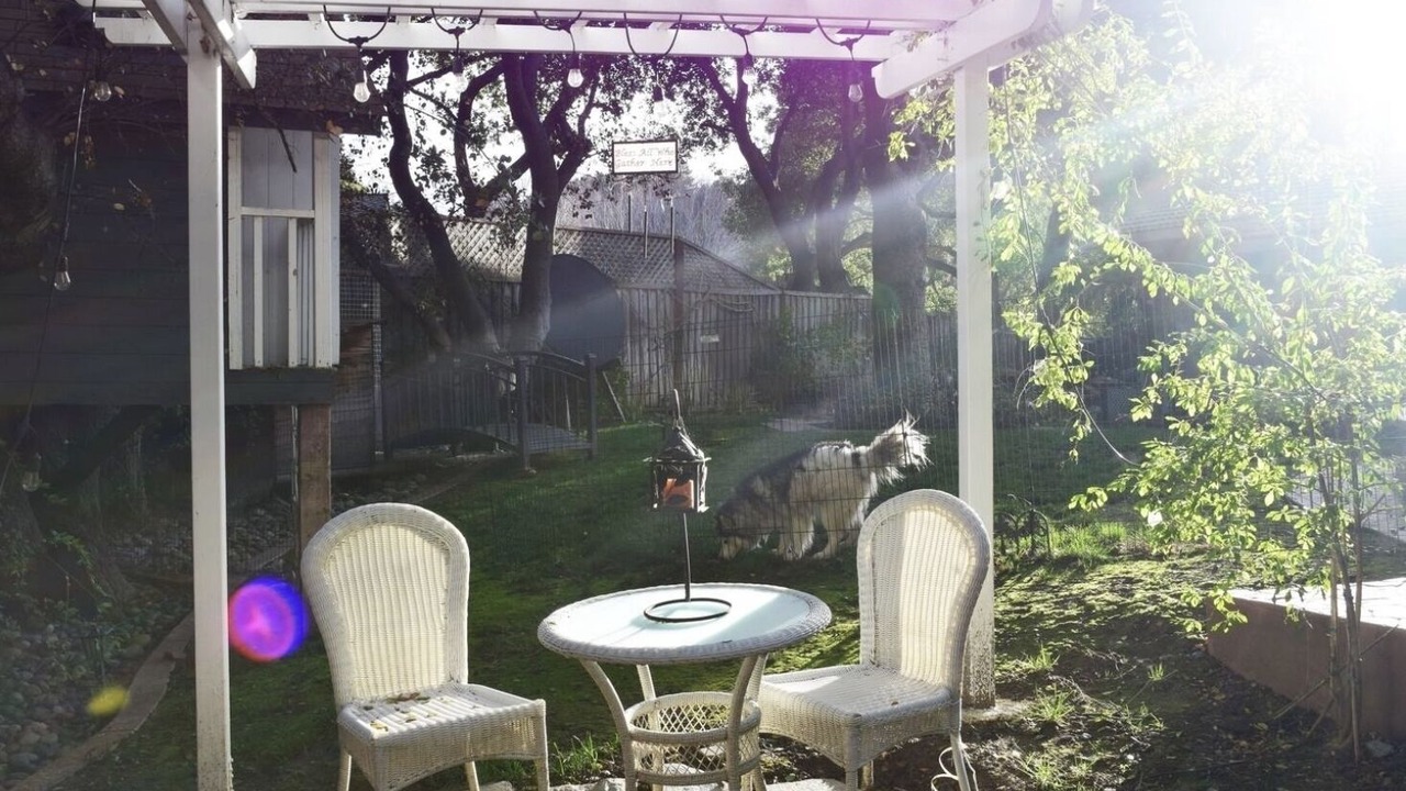 Photo of Outdoor in Los Gatos