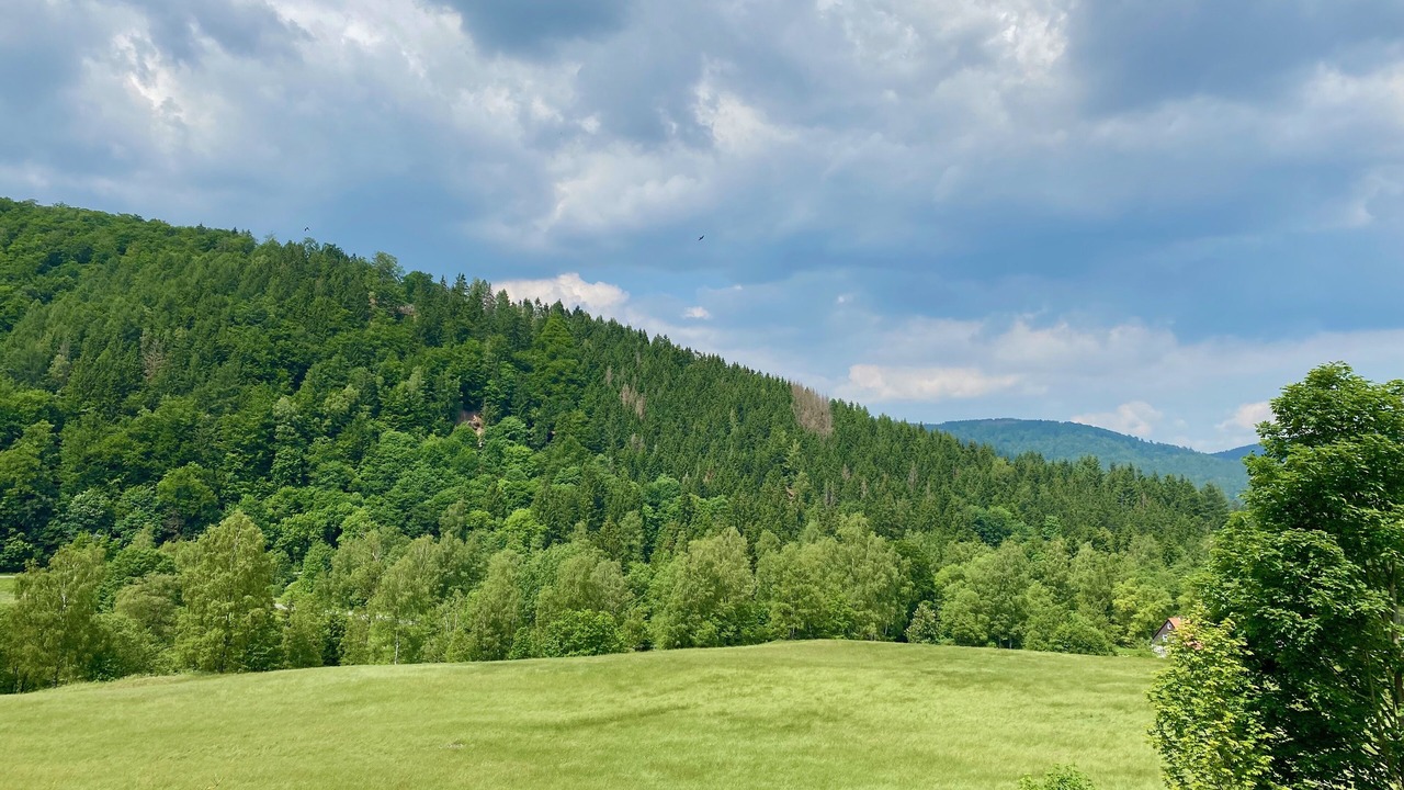 Photo of Others in Langelsheim