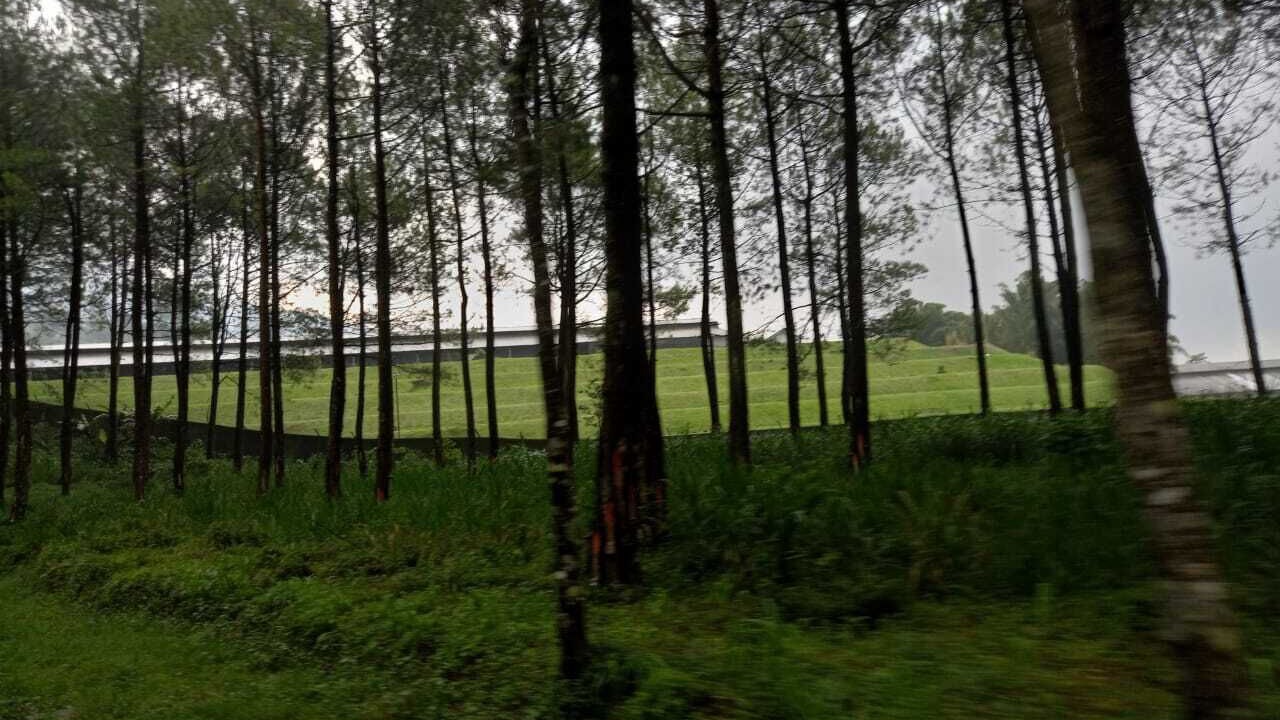 Photo of Outdoor in Wonosari