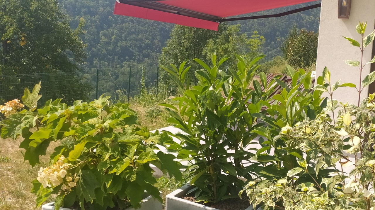 Photo of Outdoor in Montmin