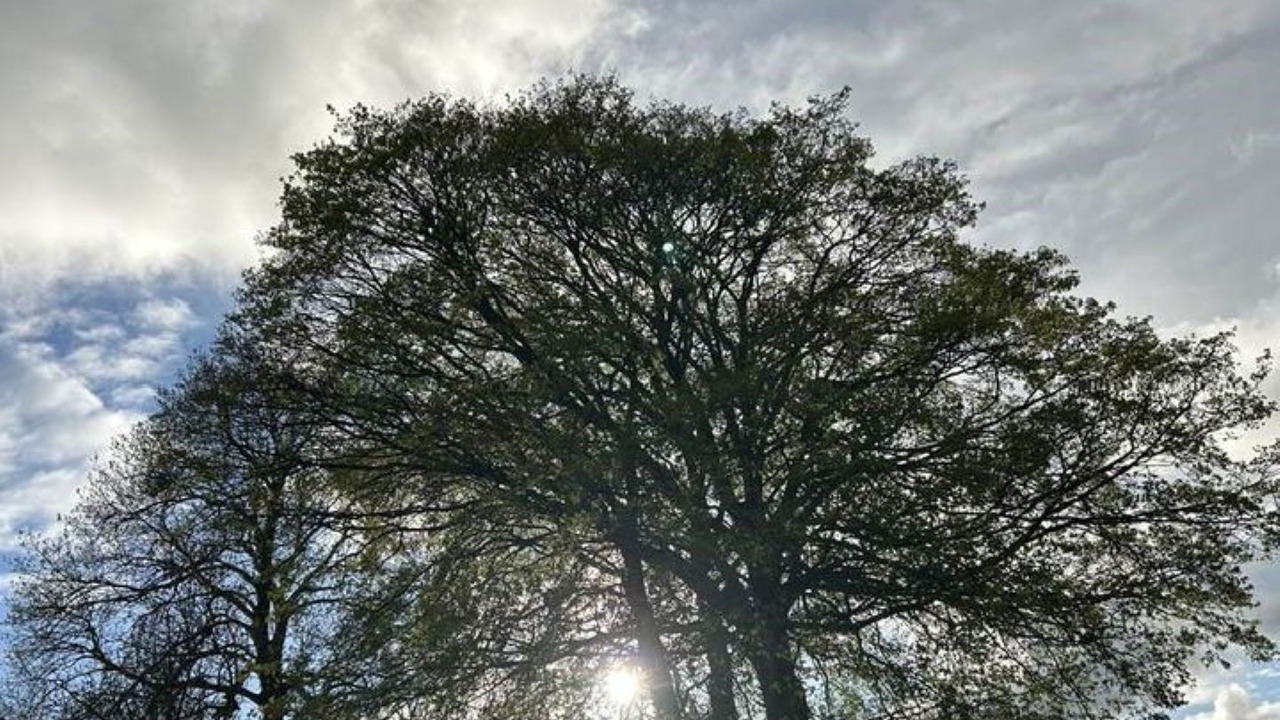 Photo of Outdoor in Schleiden