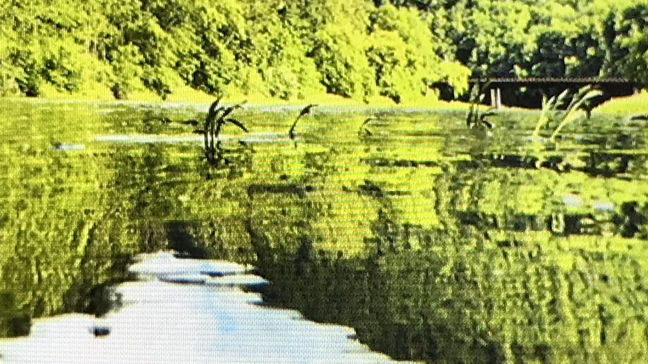 Photo of Outdoor in Antes Fort