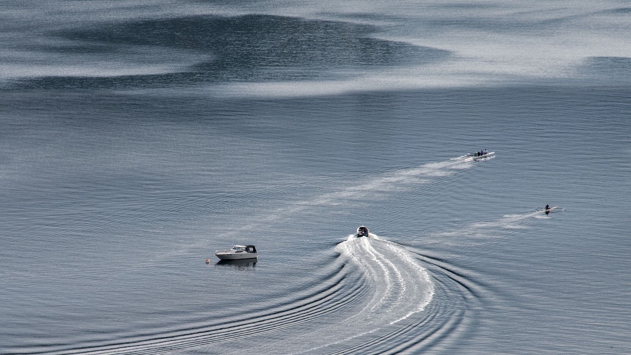 Photo of Others in Maple Bay
