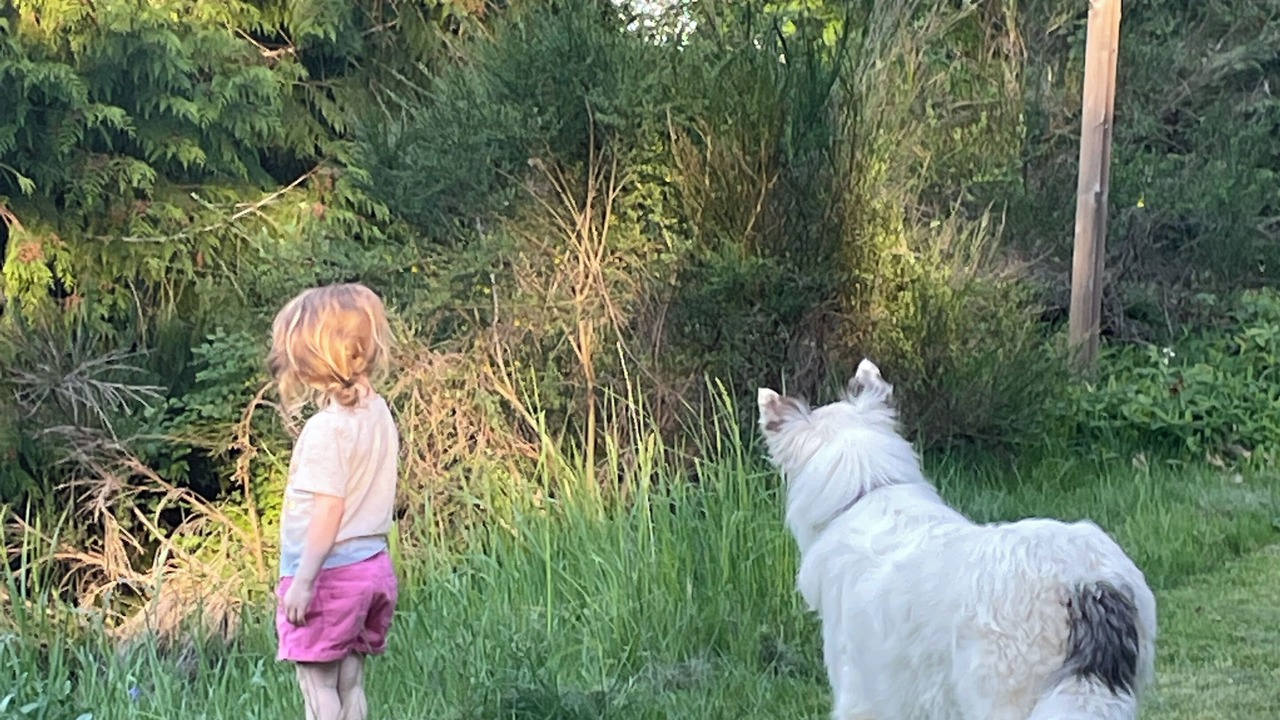 Photo of Outdoor in Maple Bay