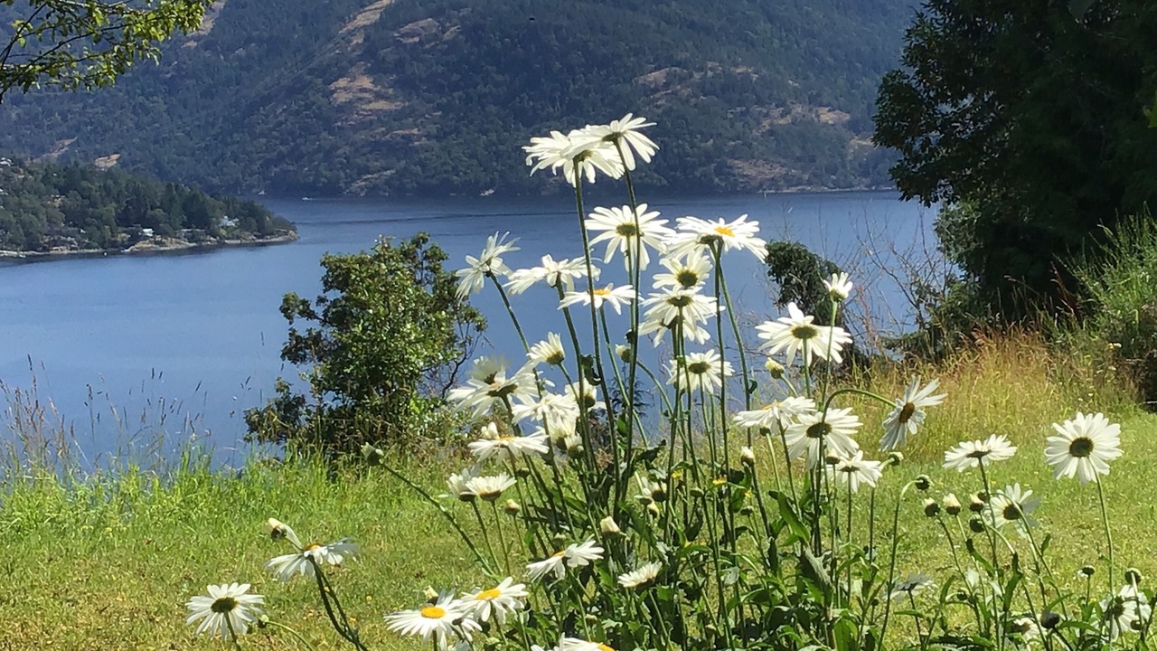 Photo of Outdoor in Maple Bay