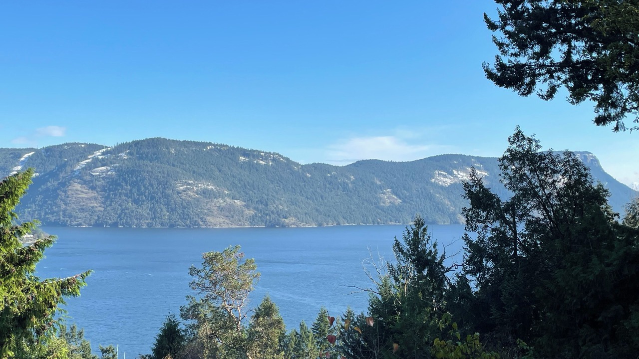 Photo of Others in Maple Bay