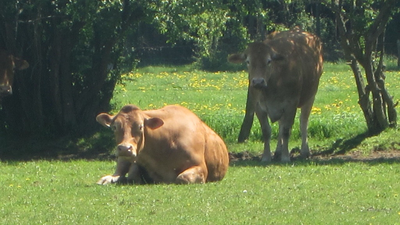 Photo of Others in Burg-Reuland