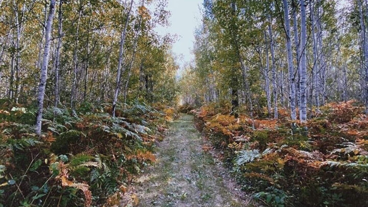 Photo of Others in Manitoba
