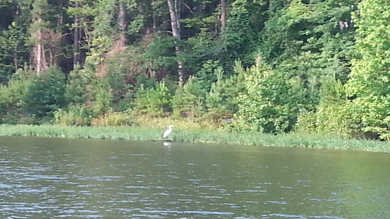 Photo of Outdoor in New London