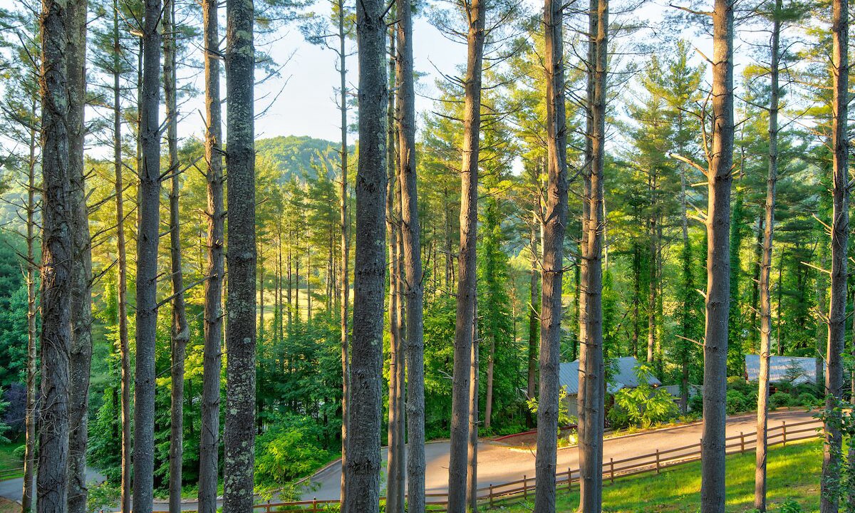 Photo of Outdoor in Valle Crucis