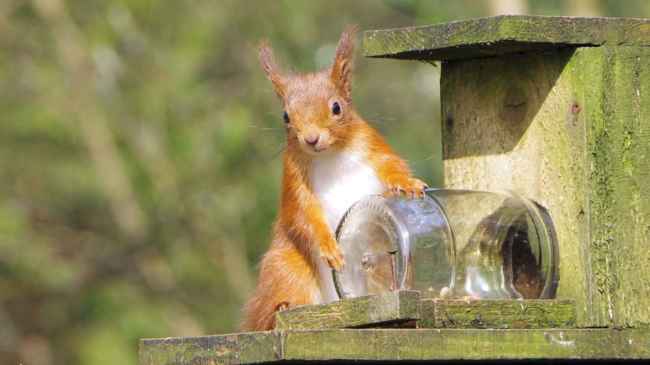 Photo of Others in Benmore