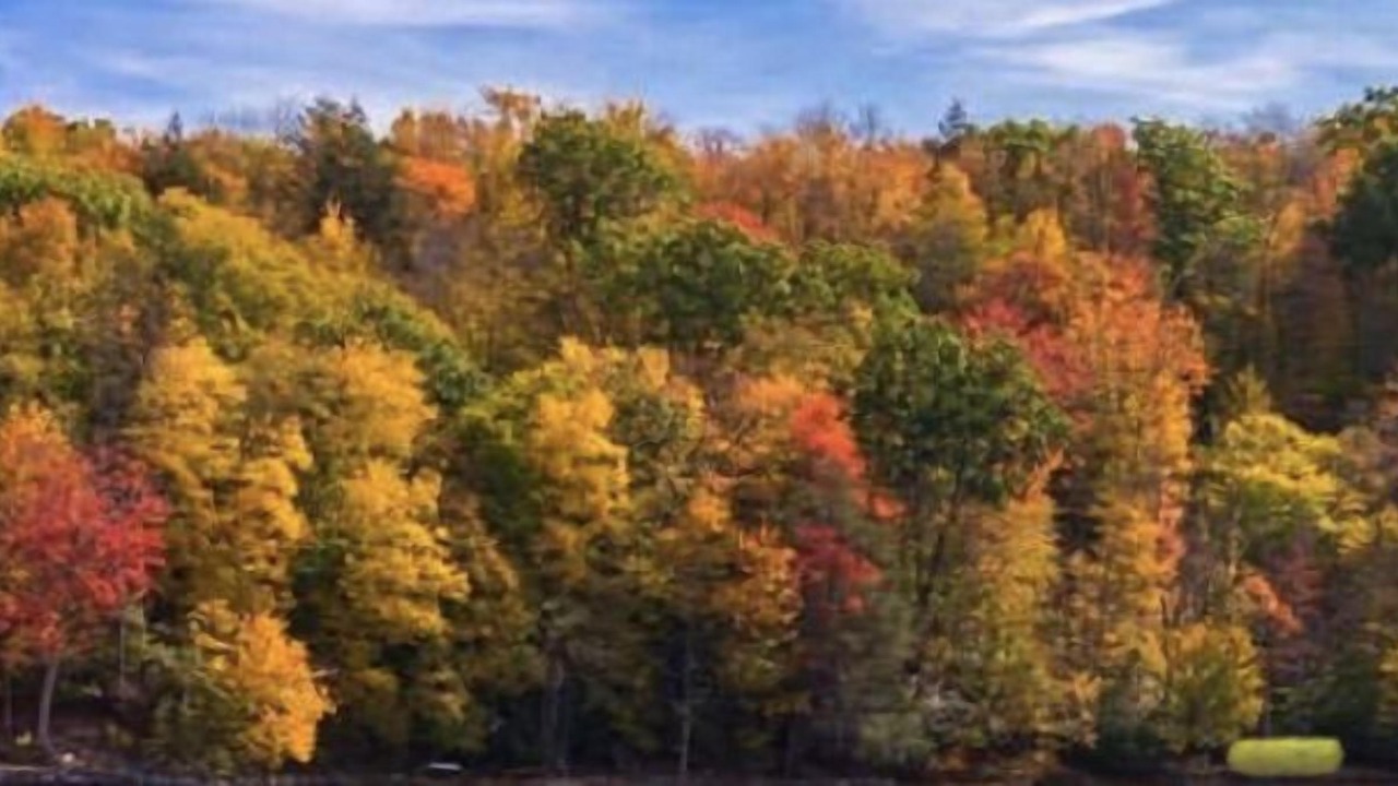 Photo of Others in Wallenpaupauk Lake Estates