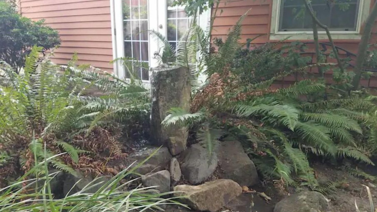 Photo of Outdoor in Sellwood-Moreland