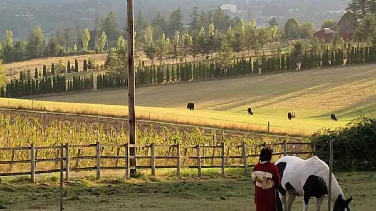 Photo of Others in Troutdale