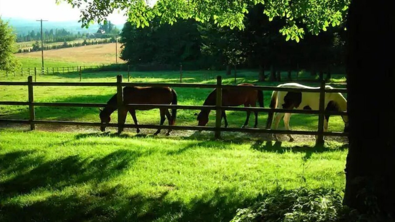Photo of Others in Troutdale