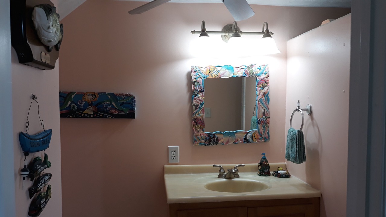 Photo of Bathroom in Jonesville