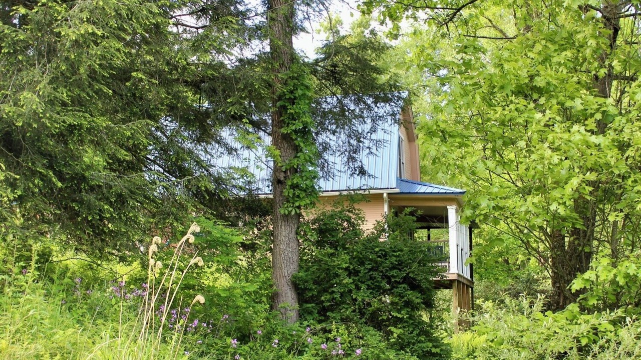 Photo of Outdoor in Widnoon