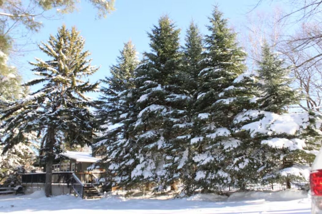 Photo of Outdoor in The Blue Mountains