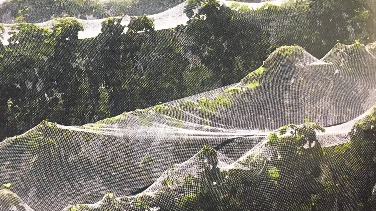 Photo of Outdoor in Pialligo