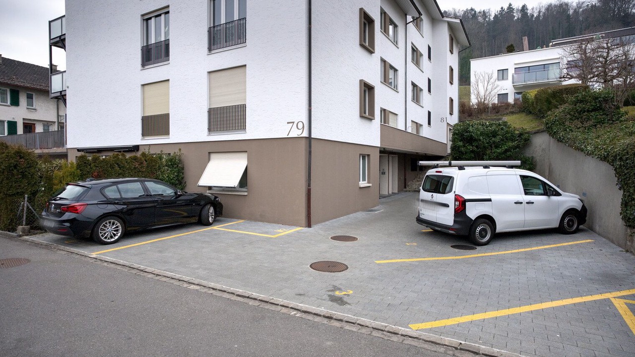 Photo of Outdoor in Horgen District