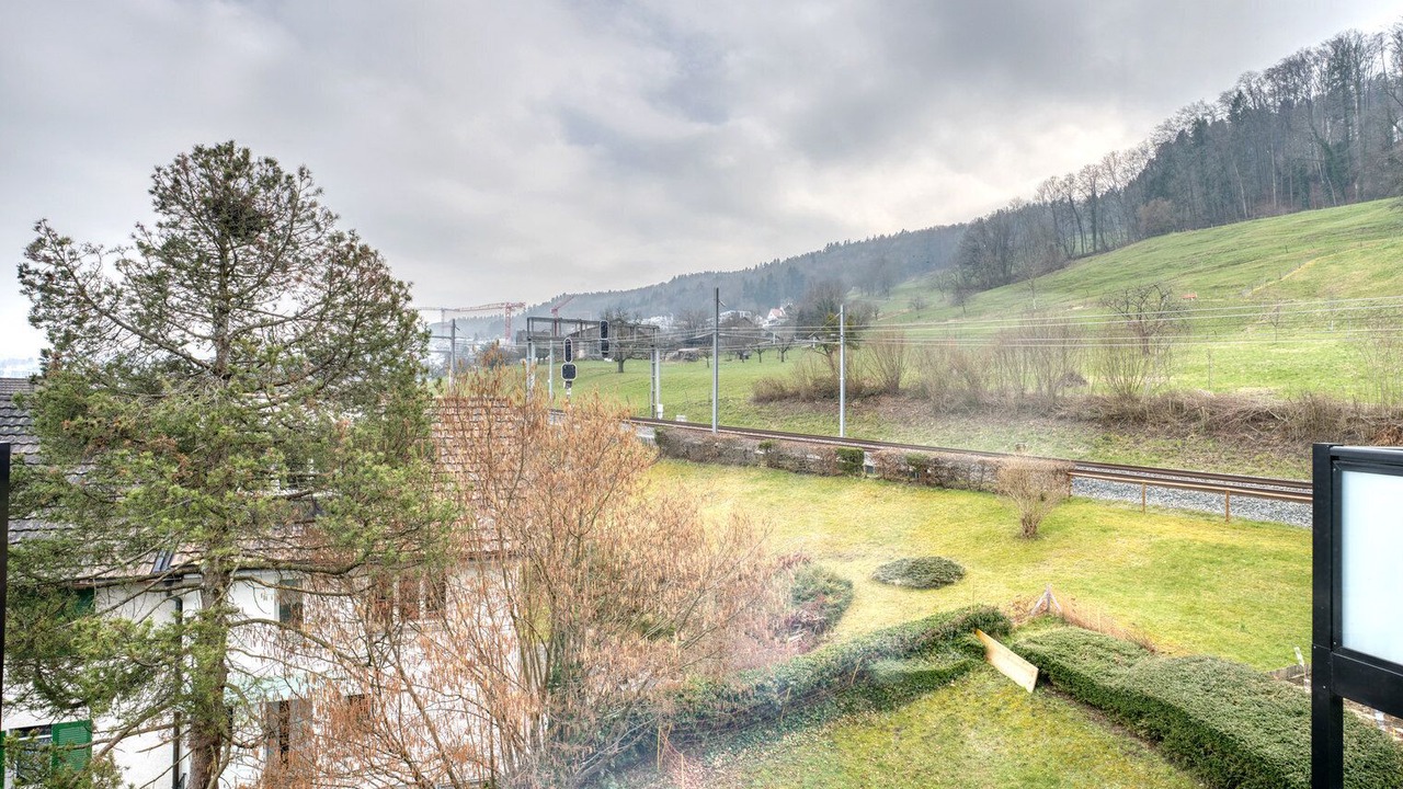 Photo of Outdoor in Horgen District