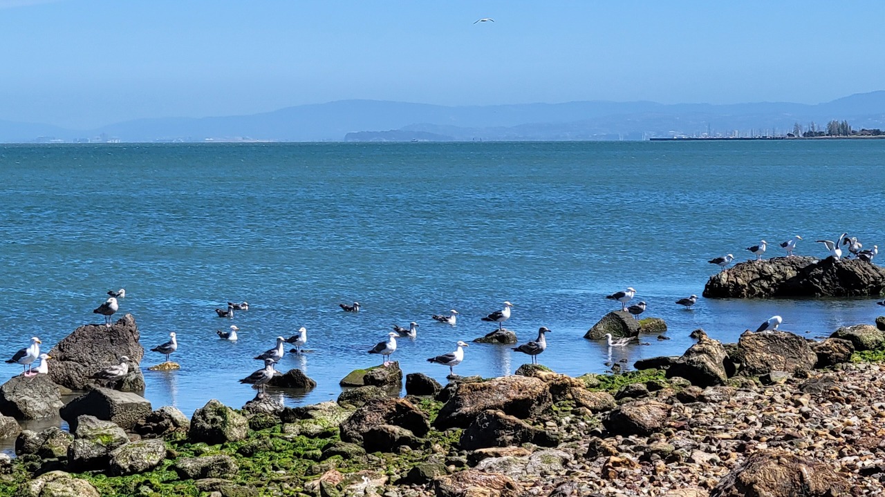Photo of Others in Bayview