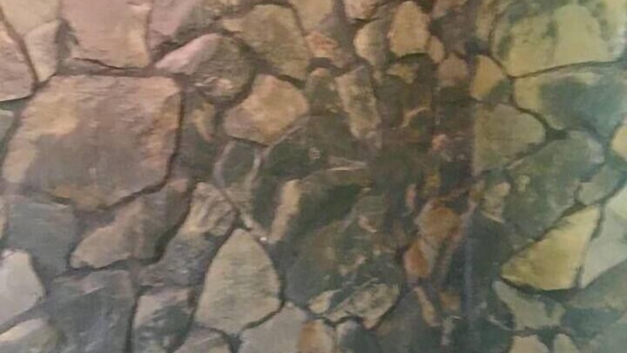 Photo of Bathroom in San Ignacio