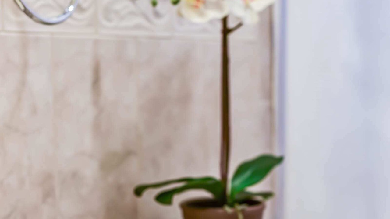 Photo of Bathroom in Old Town Alexandria