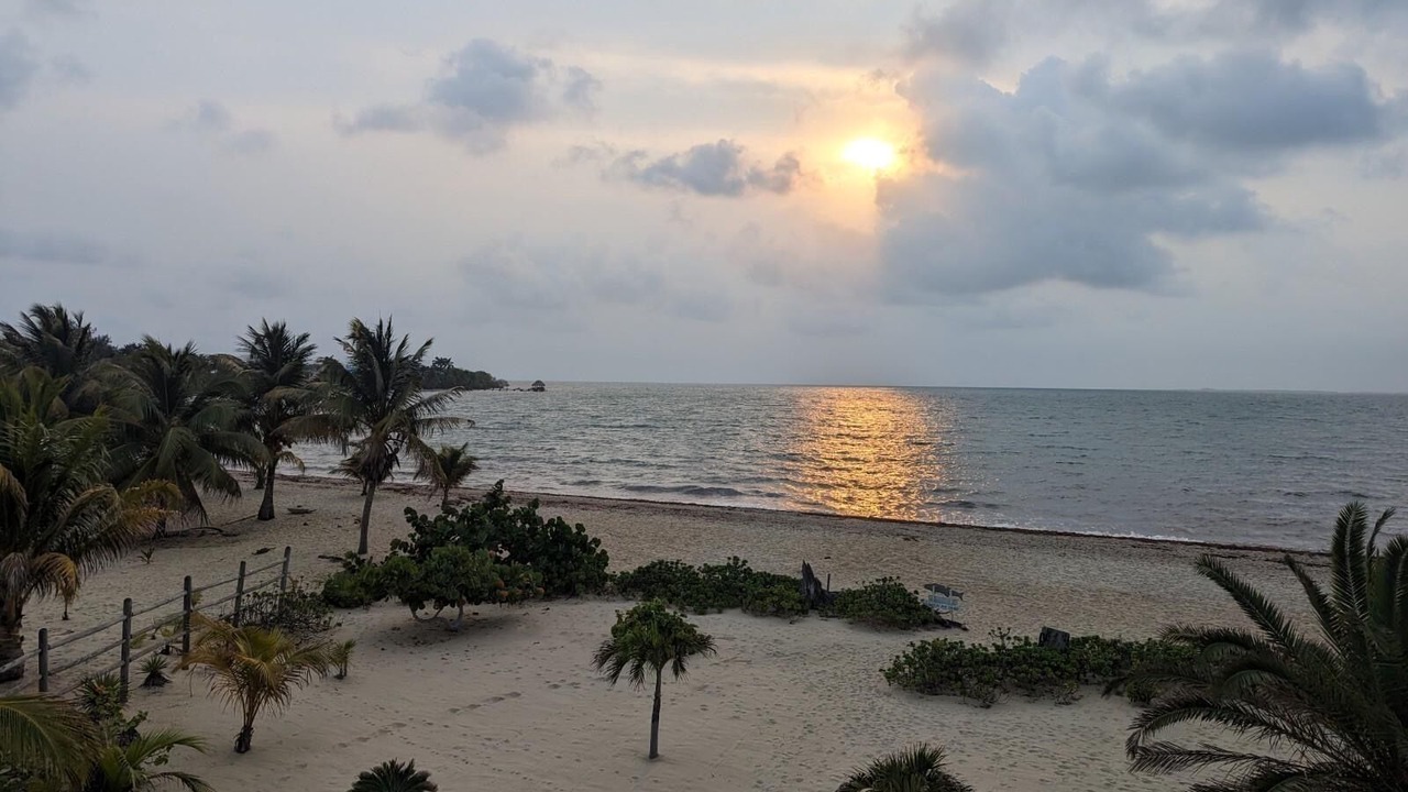 Photo of Others in Placencia