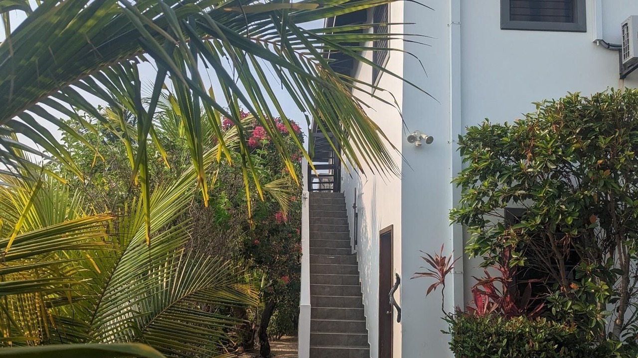 Photo of Outdoor in Placencia