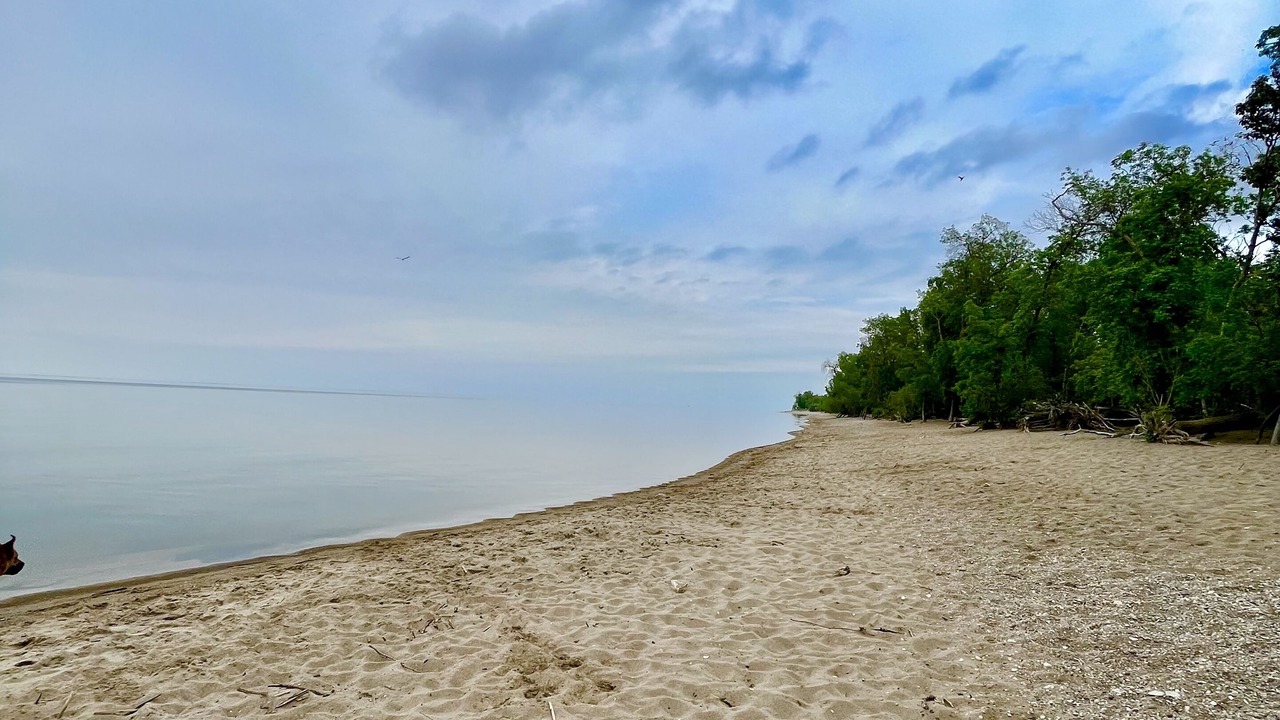 Photo of Others in Winnipeg Beach