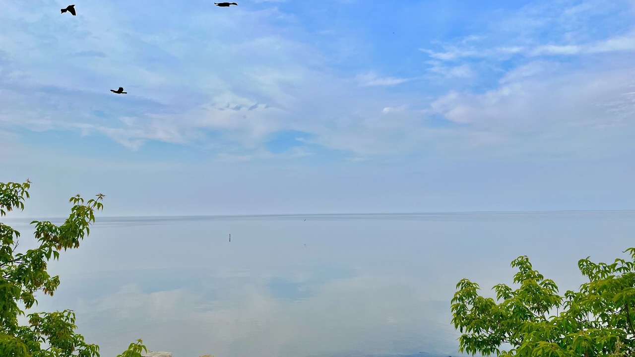 Photo of Others in Winnipeg Beach