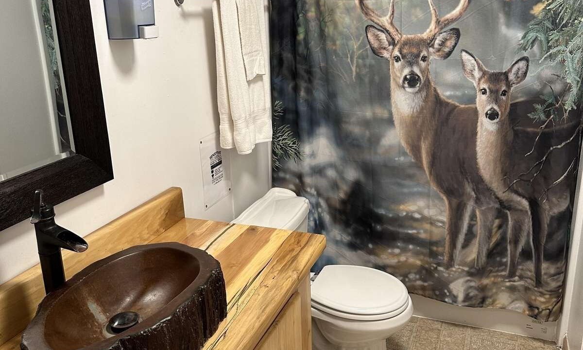 Photo of Bathroom in Henlawson