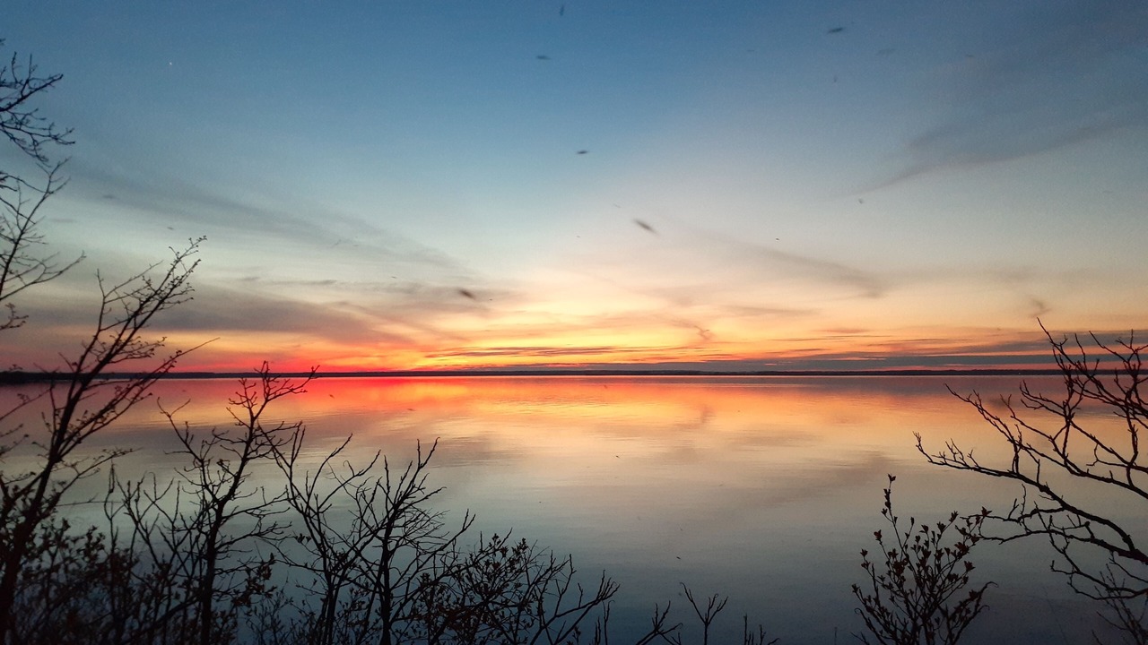 Photo of Outdoor in Milford