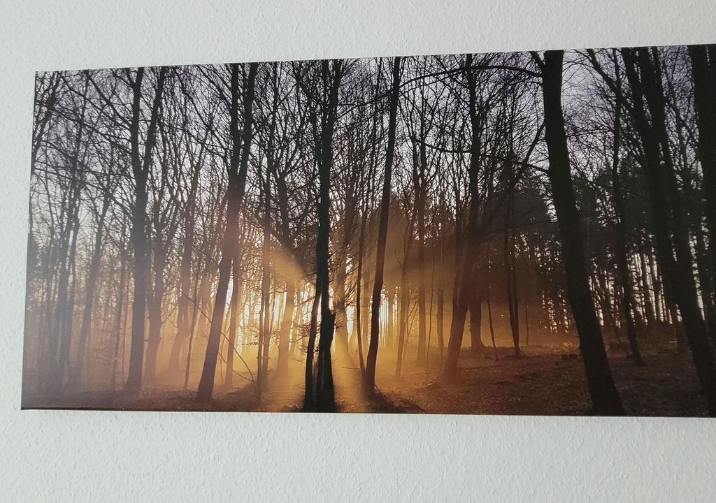 Photo of Others in Kommern