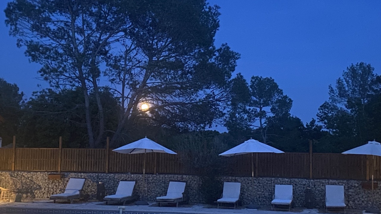 Photo of Outdoor in Saint-Paul-en-Foret