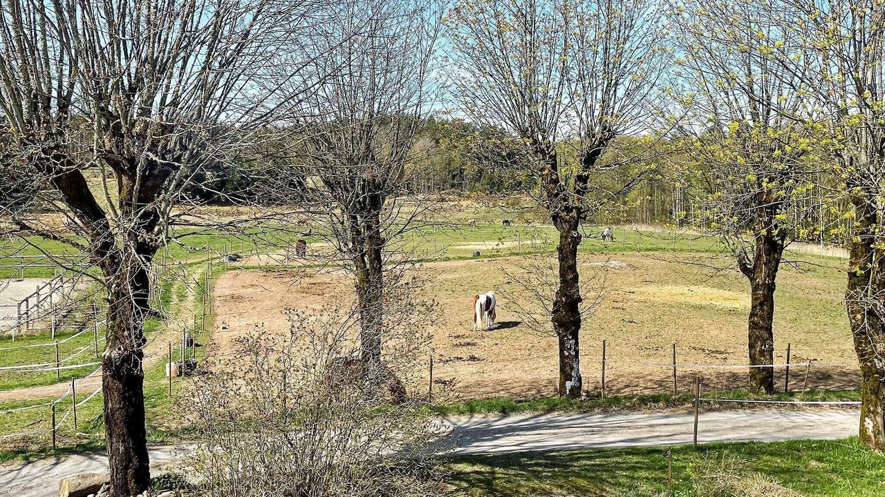 Photo of Others in Bollebygd