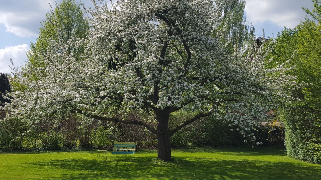 Photo of Outdoor in Hessisch Oldendorf